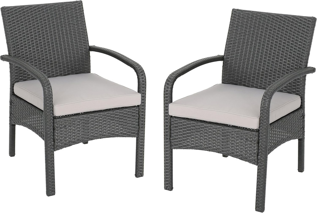 Christopher Knight Home Otto Outdoor Wicker Club Chair, Gray and Silver(Set of 2)