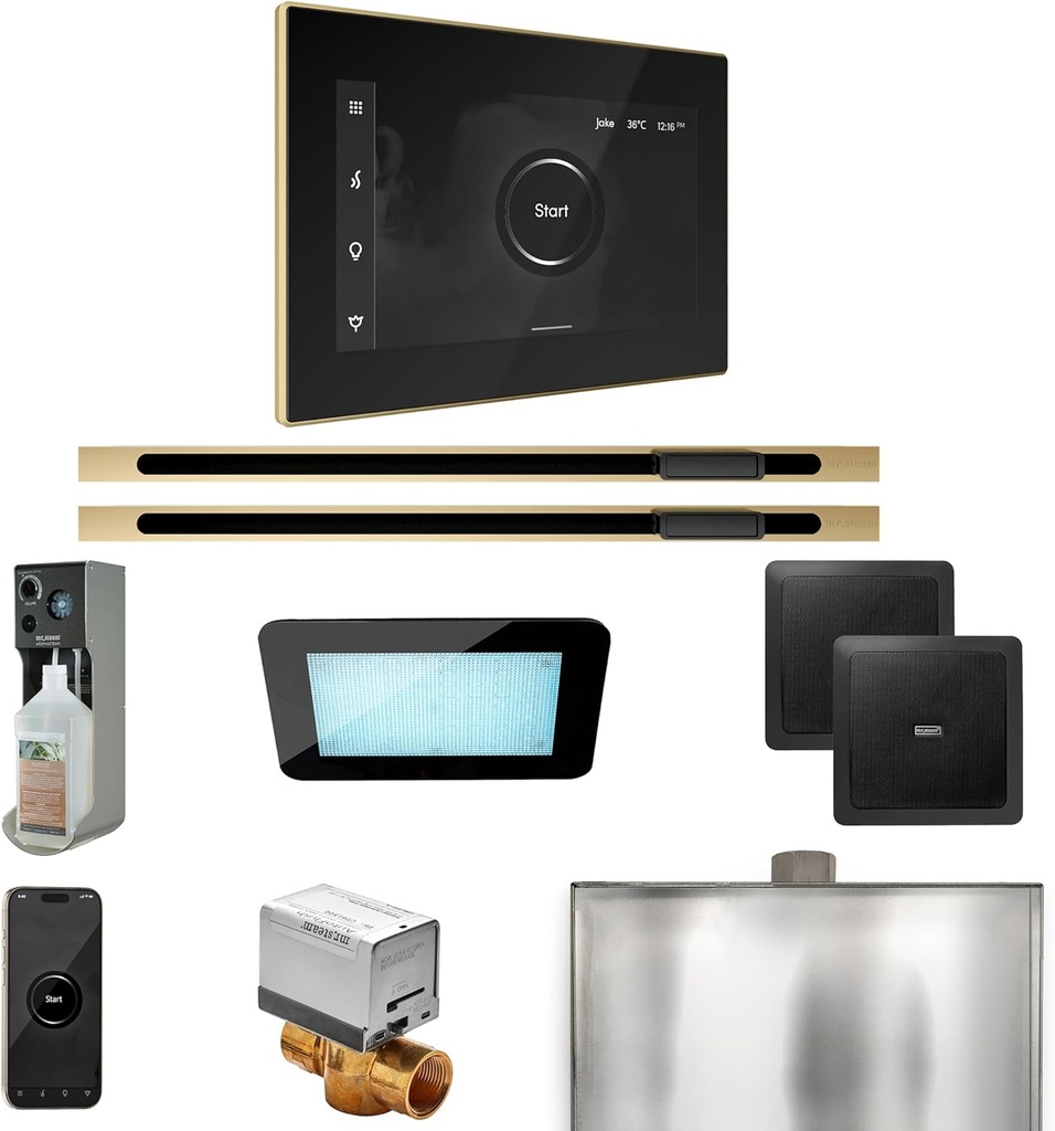 Mr Steam XDream Max Steam Shower Pkg w/iSteamX Control and Linear Steamhead in Black Satin Brass