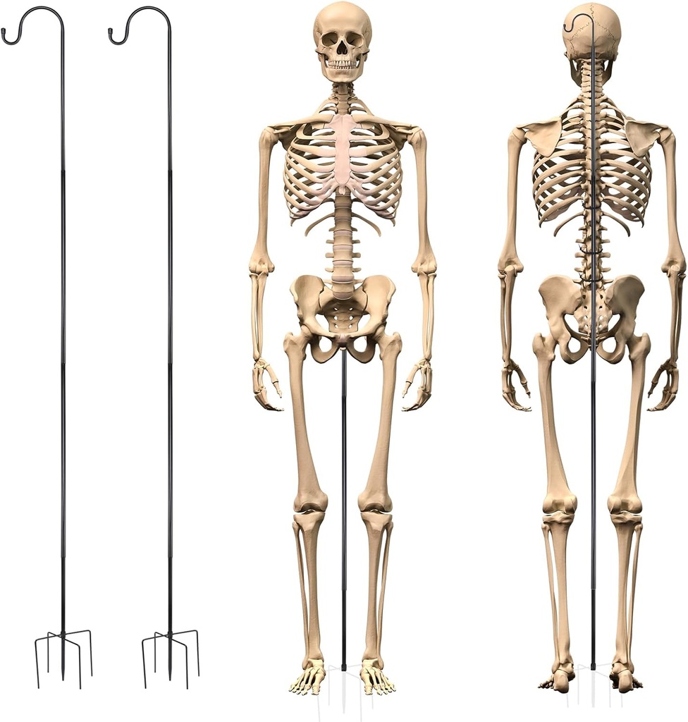 2 Sets Skeleton Stand Pose Stay Metal Stand for 6.56 ft Tall Skeletons Halloween Decor Accessories, Skeletons Not Included(Black)