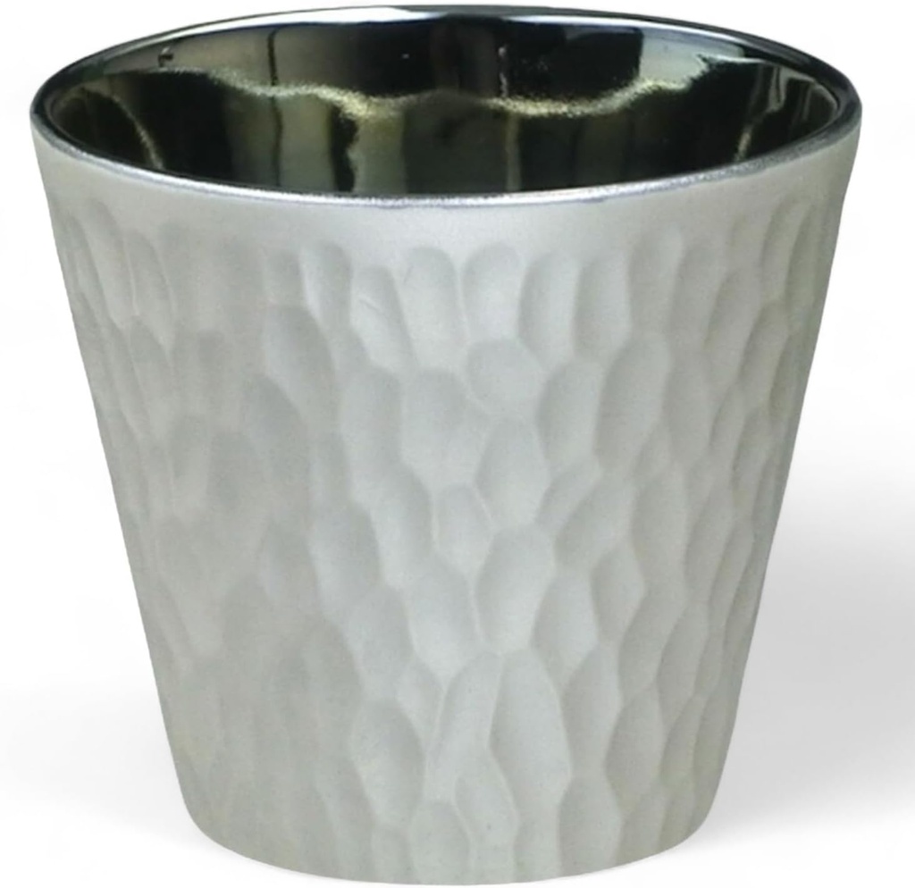J-kitchens Select Shochu Glass, Rock Cup, Light Changing Silver, 10.1 fl oz (300 ml), Dishwasher Safe, Microwave Safe, Made in Japan