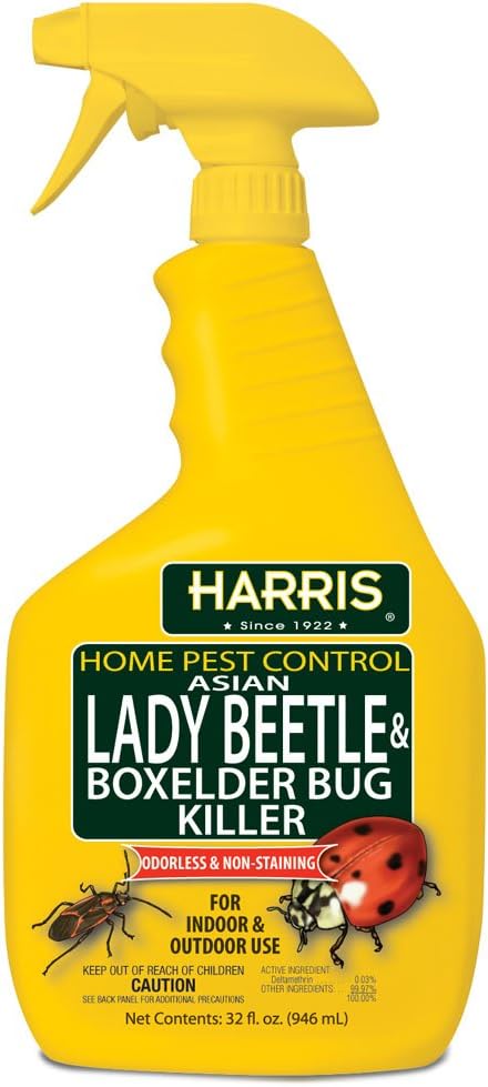 Harris Asian Lady Beetle and Box Elder Killer, Liquid Spray with Odorless and Non-Staining Extended Residual Kill Formula (32oz)