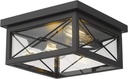 Emliviar 12 Inch Ceiling Light Fixture, 2-Light Flush Mount Ceiling Light in Black Finish, 0387B-CL BK