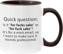 Is it For Fucks Sake, or For Fuck Sake Work Email Funny Cup 11oz Accent Mug