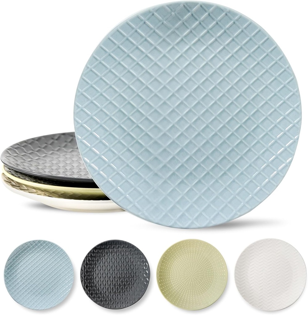 HASENSE Dinner Plates, 10 Inch Ceramic Dishes Set of 4 for Kitchen, Embossed Porcelain Plates for Restaurant, Microwave Oven and Dishwasher Safe, Colorful