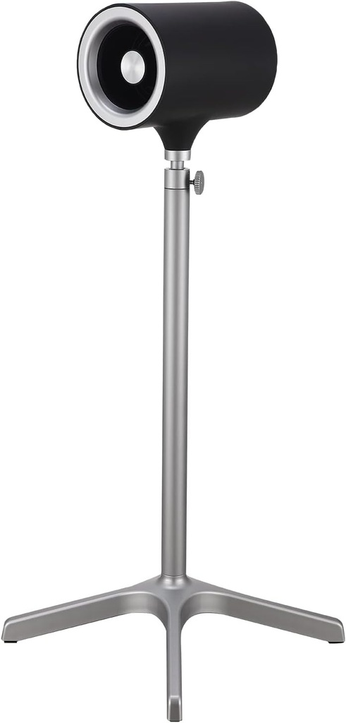 Everdure 49.4 Inch Indoor/Outdoor Pedestal Fan, 6 Speed Settings, Targeted Airflow Control, Oscillating Fan, Remote Control Included, Perfect Cooling Fan for Bedroom, Living Room, Home Office, Black