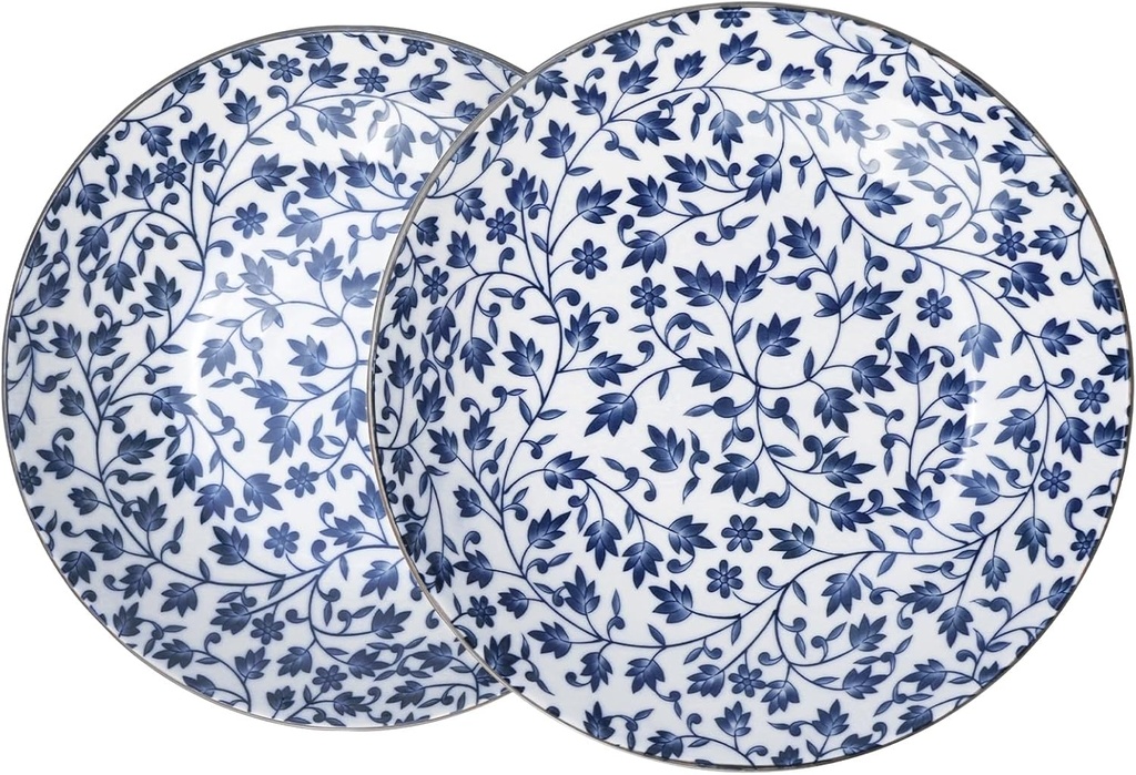 Ceramic Plates Set of 2 – 8-Inch Porcelain Dinner Plates for Kitchen, Microwave, Oven & Dishwasher Safe, 4 Unique Patterns