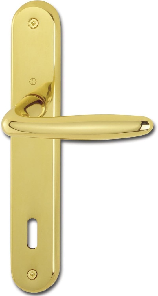 HOPPE Roissy 2857622 Door Handle Set with Long Plate Deadlock Distance 90 mm for Door Thickness 35-54 mm Polished Brass