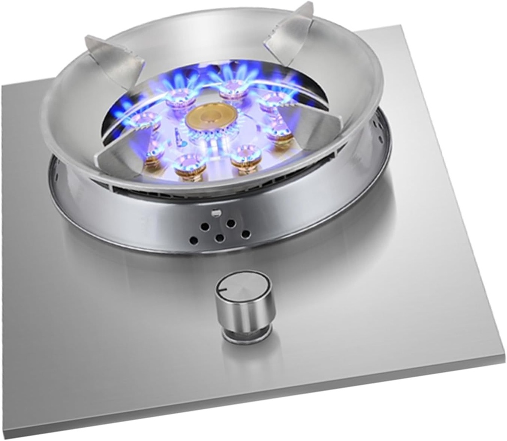 Gas Cooker,Stainless Steel Dual-Purpose gas Stove,Single-Burner,Suitable for Camping Restaurants Home Use(NG)