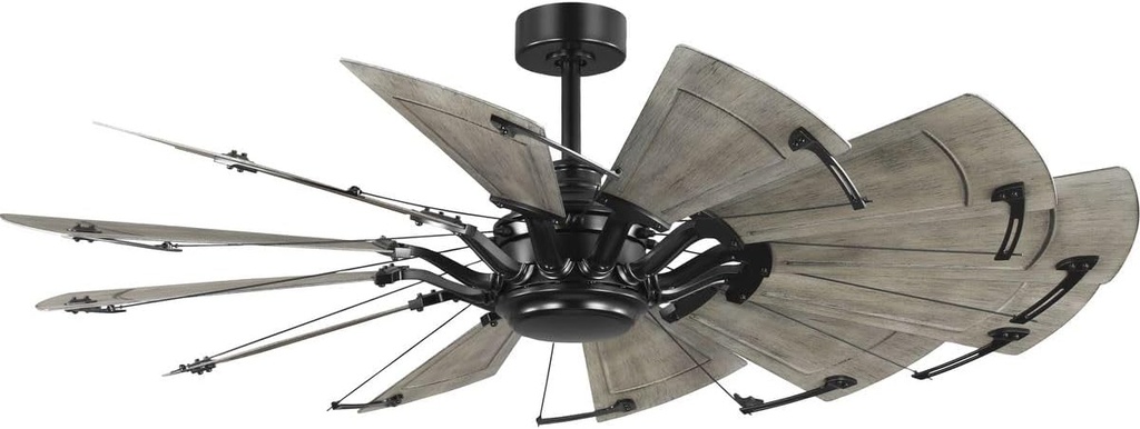 Progress P250098-31M Springer II - 12 Blade Ceiling Fan In Farmhouse Style-16.26 Inches Tall and 60 Inches Wide, Finish Color: Matte Black