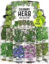 Seed Needs Herb Seeds Variety Pack Culinary Herb Collection (12 Individual Packets for Planting Indoors or Outdoors) Grow Your Own Herb Garden - Heirloom, Non-GMO