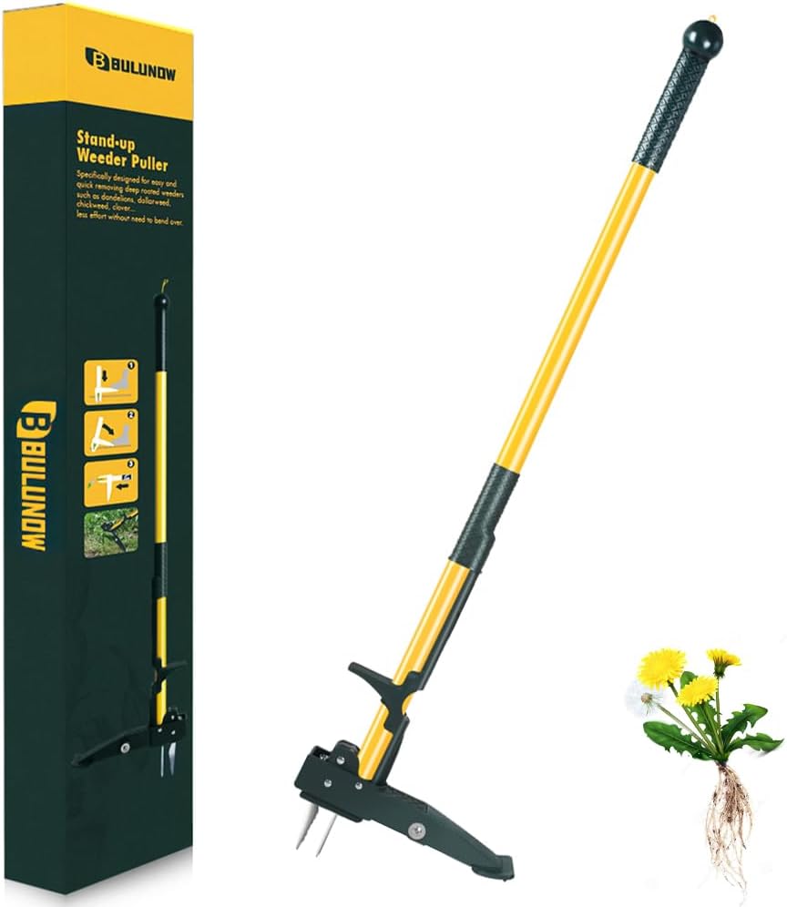 Weed Puller Tool, 50IN Long Handle 4 Claws Stand Up Weeding Tool, Extra Thickened Stainless Steel Shaft Garden Weeder,Remove the Roots of Thistles, Crabgrass, Dandelions, and Blackberries, etc.