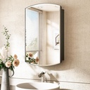 TokeShimi 16x26 Oval Medicine Cabinet with Mirror with Storage Black, Surface Mount or Recessed Medicine Cabinet Arched with Beveled Mirror Metal for Bathroom