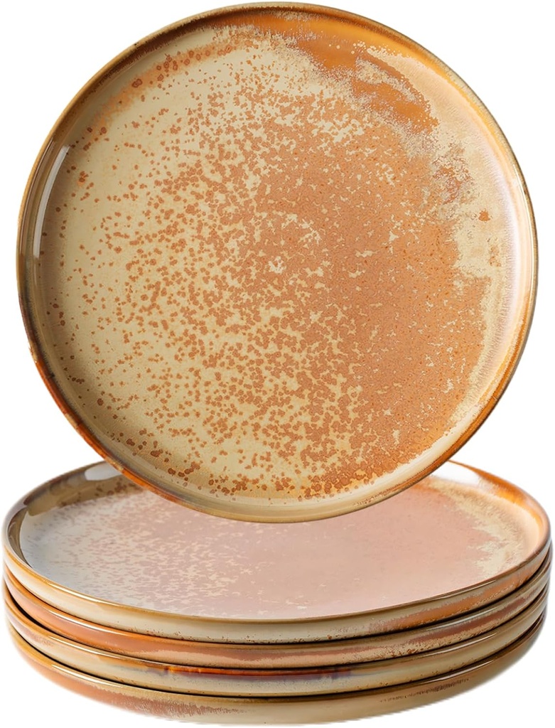 Ceramic Plates Set of 4, 8 inch Porcelain Dinner Platter, Reactive Glaze Plate, Stoneware Ceramic Dishes for Salad, Steak, Pasta, Dessert, Appetizer, Microwave and Dishwasher Safe