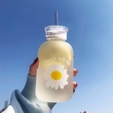 480ml Milk Juice Cute Water Bottle with Scale 2 Lids Little daisy Matte Portable Transparent Water Cup Glass Bottles Creative Handy Cup (Matte 1 flower)