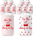 She's the Cherry on Top Bridal Shower Party Decorations She's the Cherry on Top Can Coolers I'm the Cherry on Top Cup Holder Sleeves for Women Bachelorette Party Favors Bridesmaids Hen Party Gifts