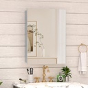 20 x 26 Farmhouse Medicine Cabinet for Bathroom, Silver Bathroom Mirror with Storage, Tempered Glass, Frameless Recessed or Wall Mount Aluminum Medicine Cabinet - Pre-Assembled