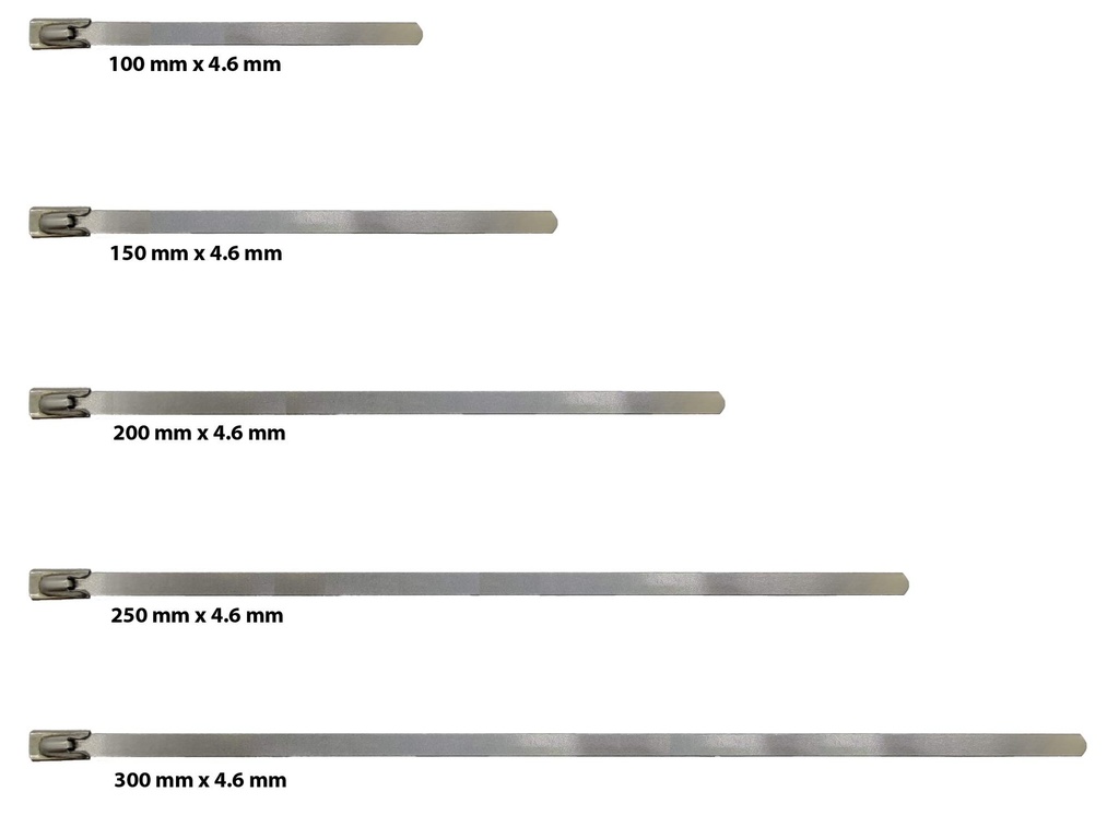 GLOBOMOTIVE Premium Heavy Duty Stainless Steel (SS-304) Self Locking Cable Ties/Zip Ties (10 Pcs, 250 mm x 4.6 mm)