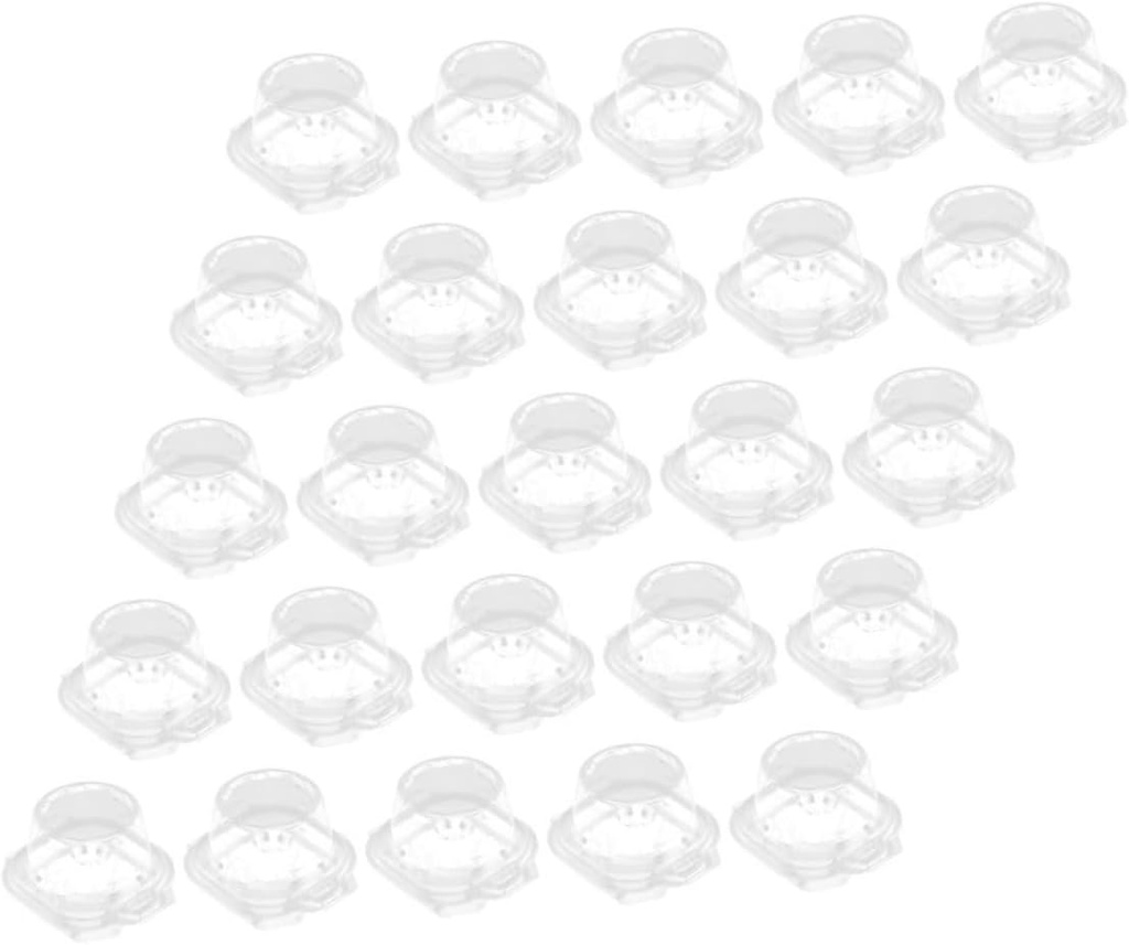 25pcs Clear Individual Cupcake Containers Lid Food-grade Packing Boxes for Muffins Tarts Desserts for Bakeries Events and Family Use
