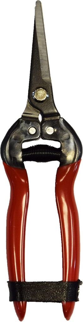 Spear & Jackson 4949FP Fruit Pruners, Red, Precise pruning of flowers, fruit trees & bonsai. Steel blades with leather locking strap