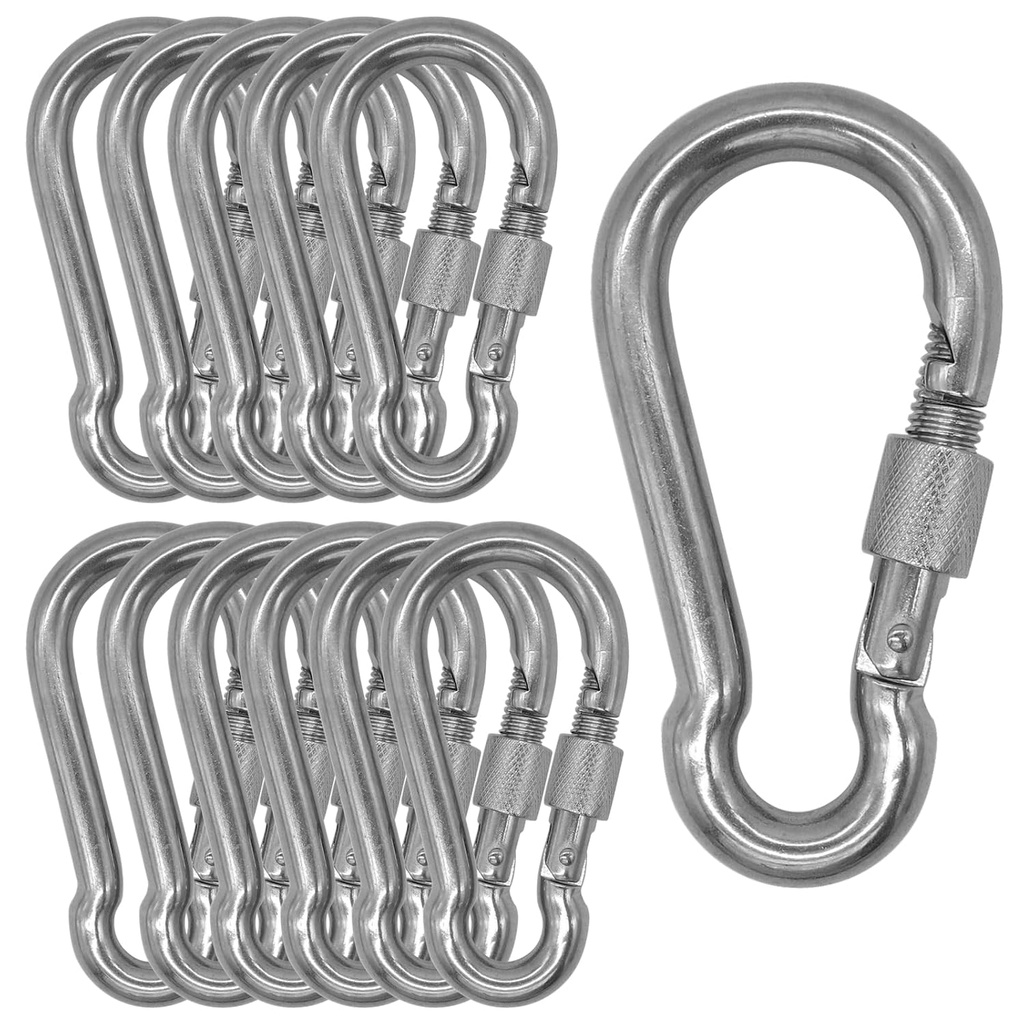 304 Stainless Steel Carabiners -2 inch Heavy Duty, Durable & Rust-Free Clips for Gym, Swing, Dog Leashes, Hammocks, Keychains, and More(304,M5 with Screw,Pack of 12)