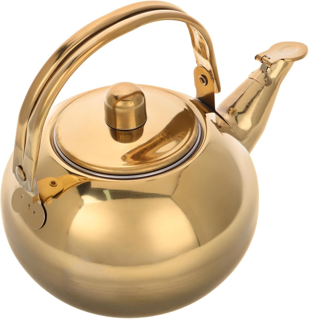 PRETYZOOM Electric Tea Kettle Strainer Stainless Steel Teapot Hot Water Kettle for Stove Top Boiling Pot