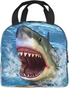 VOOHDDY Cool Shark Mouth Insulated Lunch Bag For Men Women Reusable Lunch Box Container Waterproof Portable Cooler Thermal Tote Bag For Work Office Picnic Beach Travel