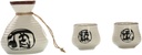 PRETYZOOM Handmade Ceramic Sake Set Kanji Calligraphy for Japanese Style Drinking Includes Sake Bottle and Cups for Entertaining Friends and Family at Gatherings