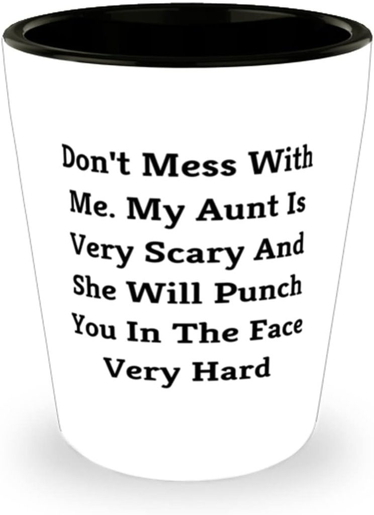 Aunt For, Don't Mess With Me. My Aunt Is Very Scary And She Will Punch You In The Face, Epic Aunt Shot Glass, Ceramic Cup From Niece