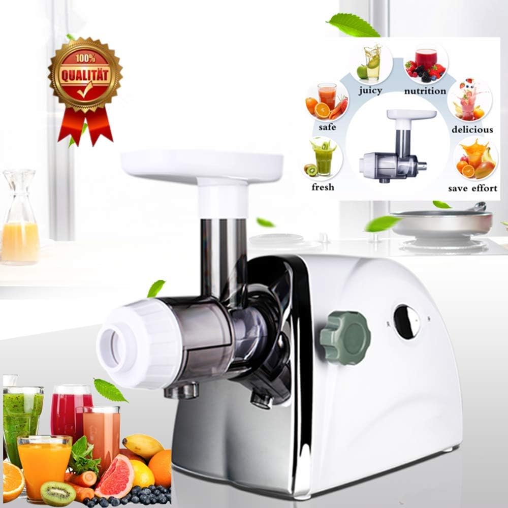 Household Wheatgrass Juicer Multifunctional Electric Fruit Juicers Orange Apple Slow Masticating Juice Extractor Machine Original Healthy Juice Cold Press Juicer Maker (White)
