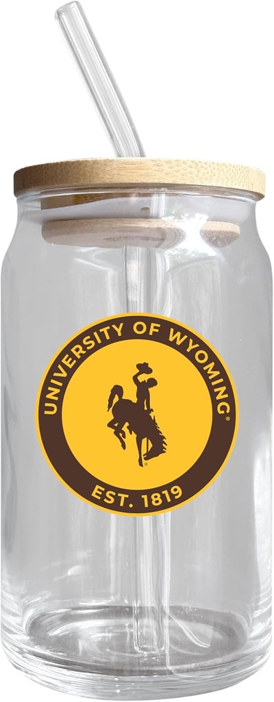 R and R Imports University of Wyoming NCAA 12 oz Can Glass Single