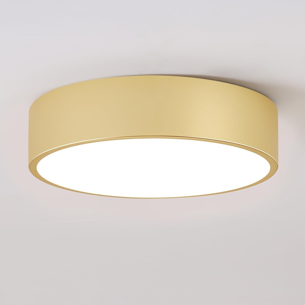 Dimmable LED Ceiling Light, 5CCT Modern Round Close to Ceiling Lighting Fixtures, Minimalist Gold Ceiling Lamp for Bedroom, Hallway, Laundry Room,11.8 inch