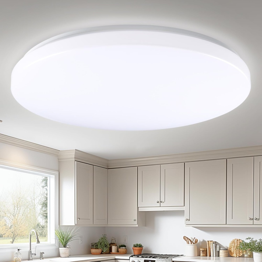 Hamilyeah 20 inch Ceiling Light Flush Mount 48W, Dimmable LED Ceiling Light Fixture, Simple Close to Ceiling Light 5CCT for Living Room, Dining Room, Bedroom, Hotel, Office