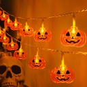 Halloween Lights Pumkin Lights 10FT 20LED with Timer 8 Modes Battery Operated Indoor Outdoor for Halloween Decorations, Pumpkin Decor