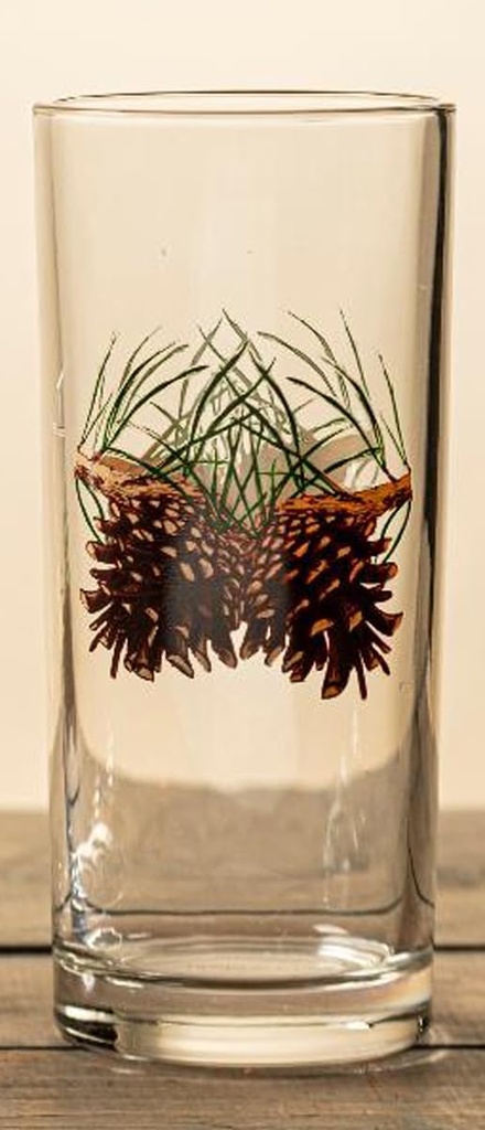 BLACK FOREST DECOR Pinecone and Needles Iced Tea Glasses - Set of 4