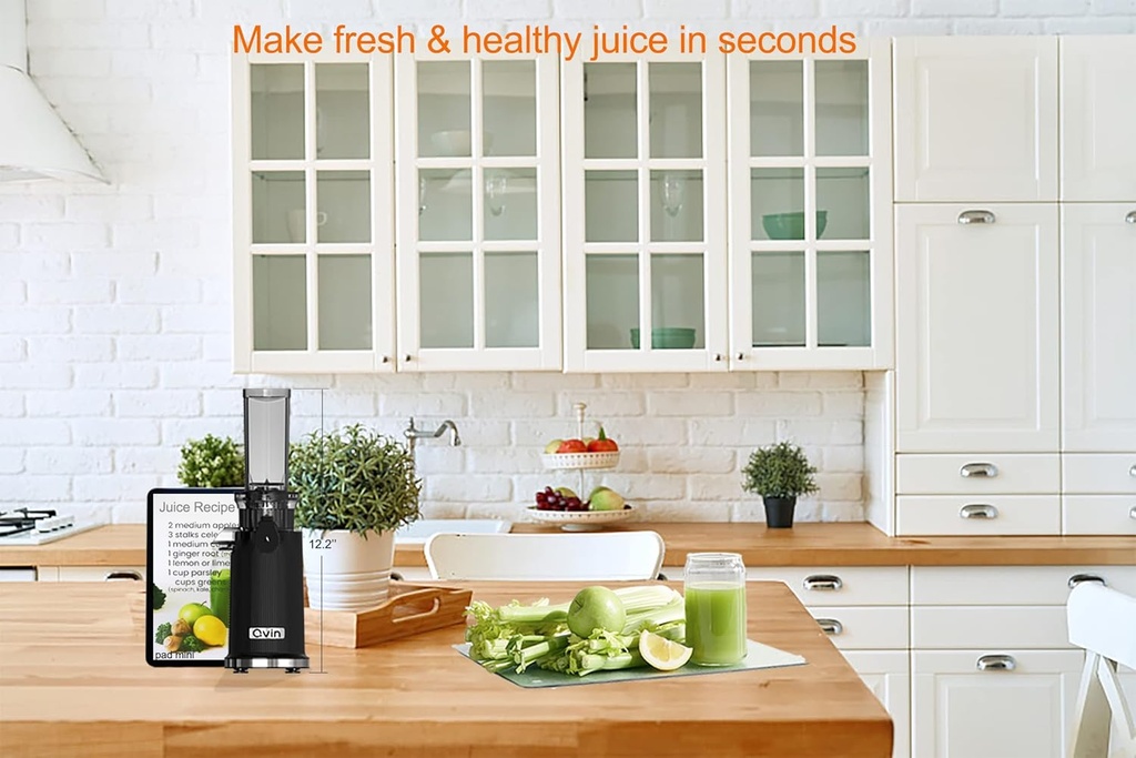 Qvin Cold Press Juicer Compact Design with Powerful Motor,Masticating Slow Juicer with Juice and Pulp Cup, Juicer Vegetable and Fruit, Nut milk maker black & Stainless Steel