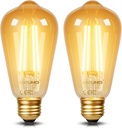 DiCUNO E26 Edison Bulbs 60W, 2200K Amber Warm, 6W LED Edison Bulb ST64, Amber Glass, Vintage LED Light for Home, 600LM, Non-Dimmable, CRI 80, Pack of 2