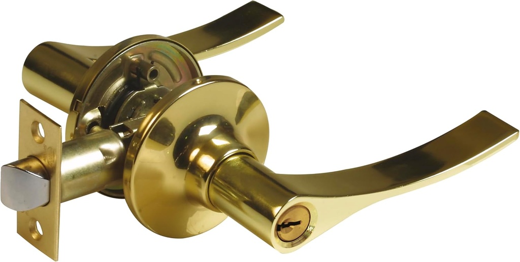 Amig - Left Entry Door Handle Set with Handle | Rosette for Doors | Zamak, Brass, Lacquer (50%, 40%, 10%) | Gold | Entry Handle 60/70 mm