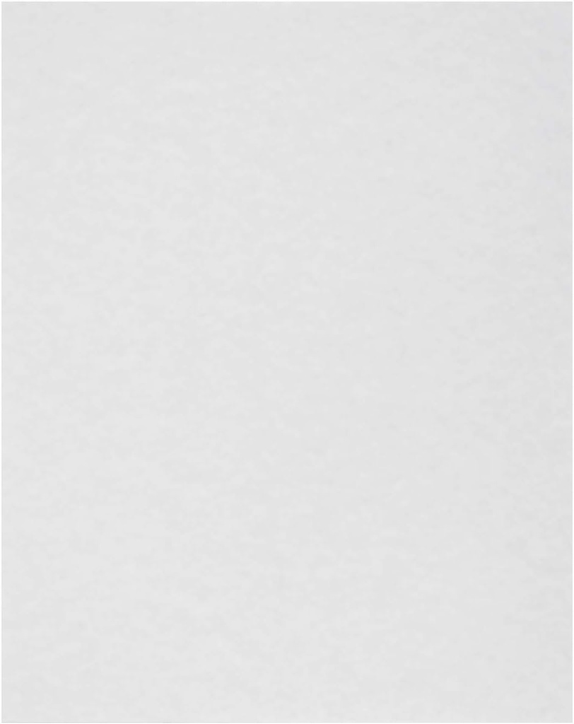 AmerCareRoyal Premium Fryer Oil Filter Sheets – Extend Oil Life for Improved Taste and Safety in Restaurants and Outdoor Cooking - 16-3/8 Inch x 18-3/8 Inch Inch, Pack of 100