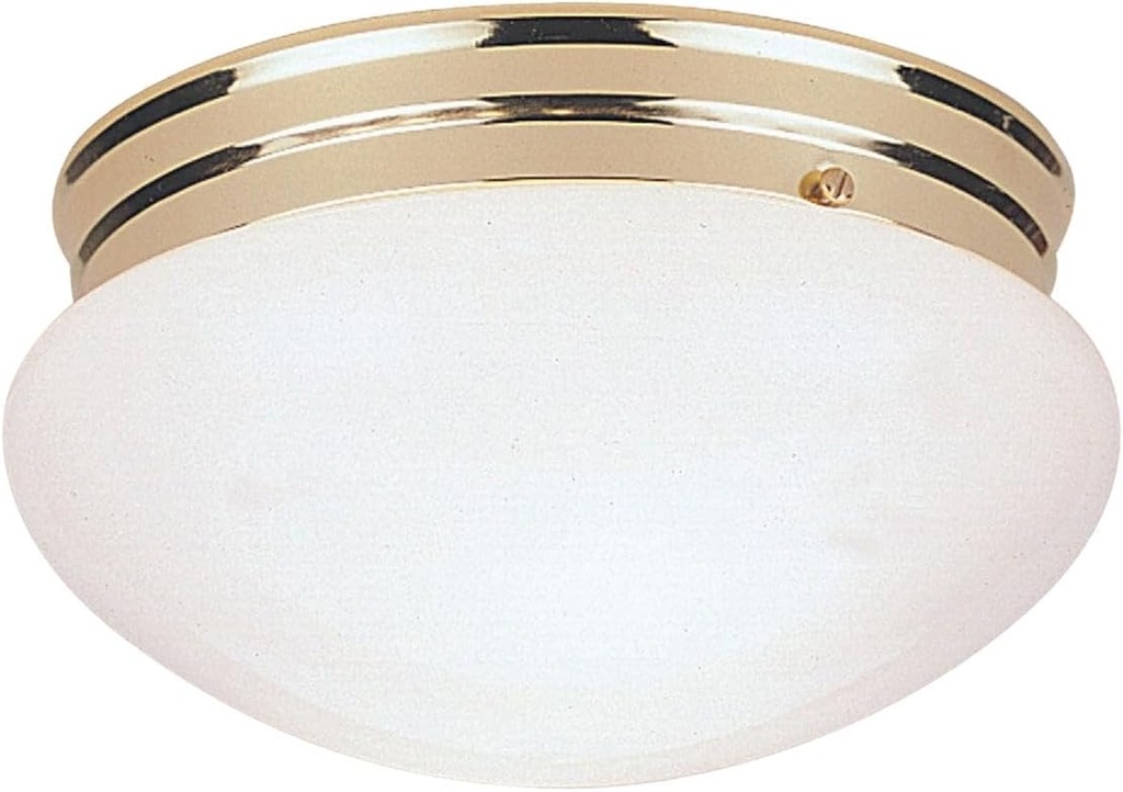 Westinghouse 6632900 4 3/4 Ribbed Glass Ceiling Lt