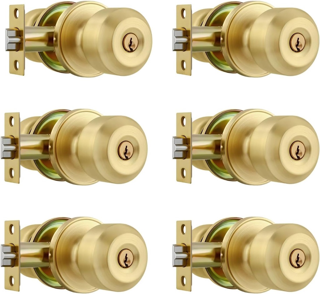 Leydebong 6 Pack Keyed Entry Door Knob, Gold Exterior Door Knob with Lock and Key, Keyed Alike Entrance Front Door Knobs Lock with Same Keys