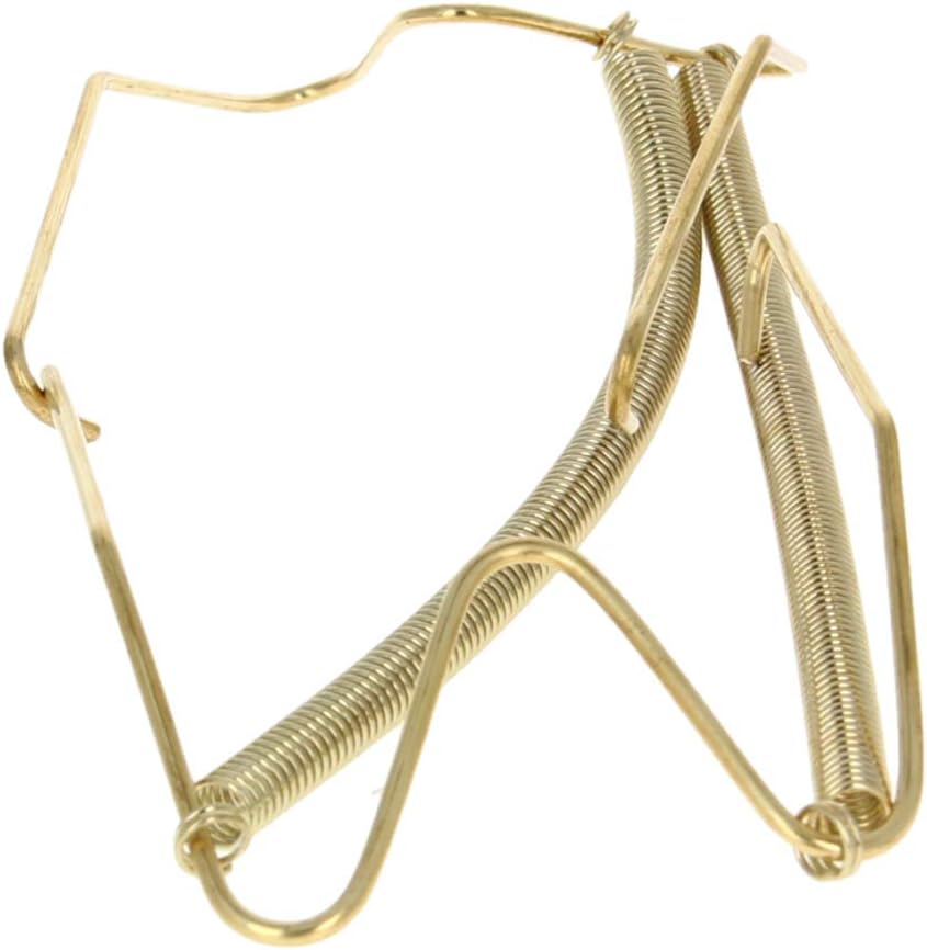 Bettomshin 5Pcs Plate Hanger 13.98" W Type Stainless Steel Plate Hangers Invisible Wall Hooks for Walls Compatible Decorative Plates Hooks Dish Diaplay Holder Golden