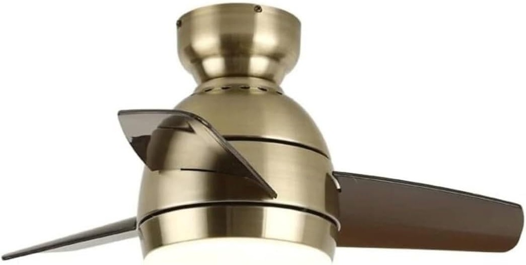 Low Profile Ceiling Fan Simple Ceiling Fan Light Modern Ceiling Fan with Remote Control Adjustable Color Temperature Chandelier Fan Lights Ceiling Fixtures(26 Inches)