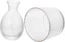 Sake Cup Set,Japanese Sake Cup,1 Set Ice Bucket Chinese Tea Cups Clear Dinnerware Set Dispenser Container Sake Glass Warmer Japanese Sake Pot Transparent