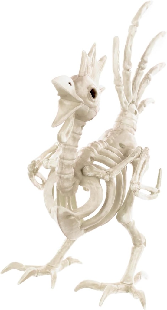 Seasons 12" Skeleton Rooster Halloween Decoration for Crazy Bonez Skeleton Line
