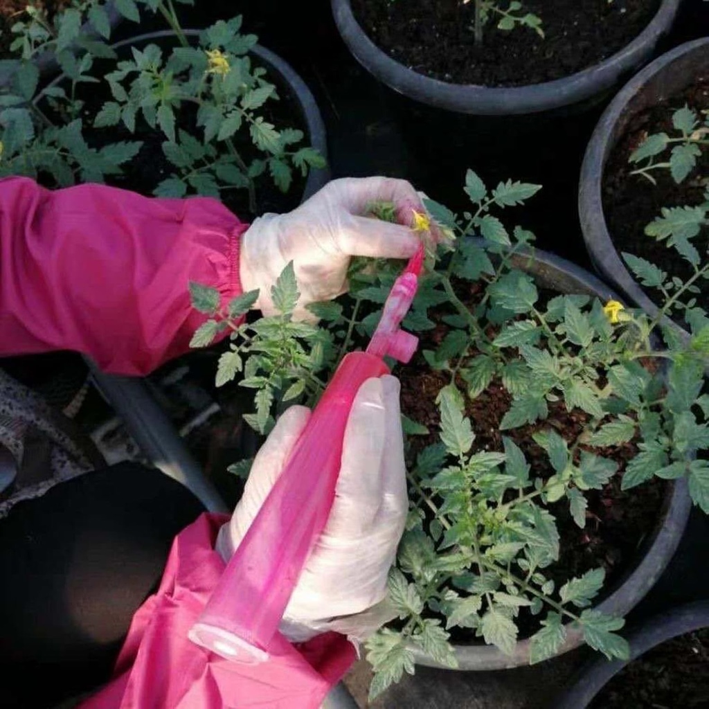 Hand Pollination Brush for Tomatoes Eggplants Peppers - Vegetable Pollinator Tool Garden Pollinator Accessories for Home Gardeners, Plant Pollinating Brush for Flowers Crops