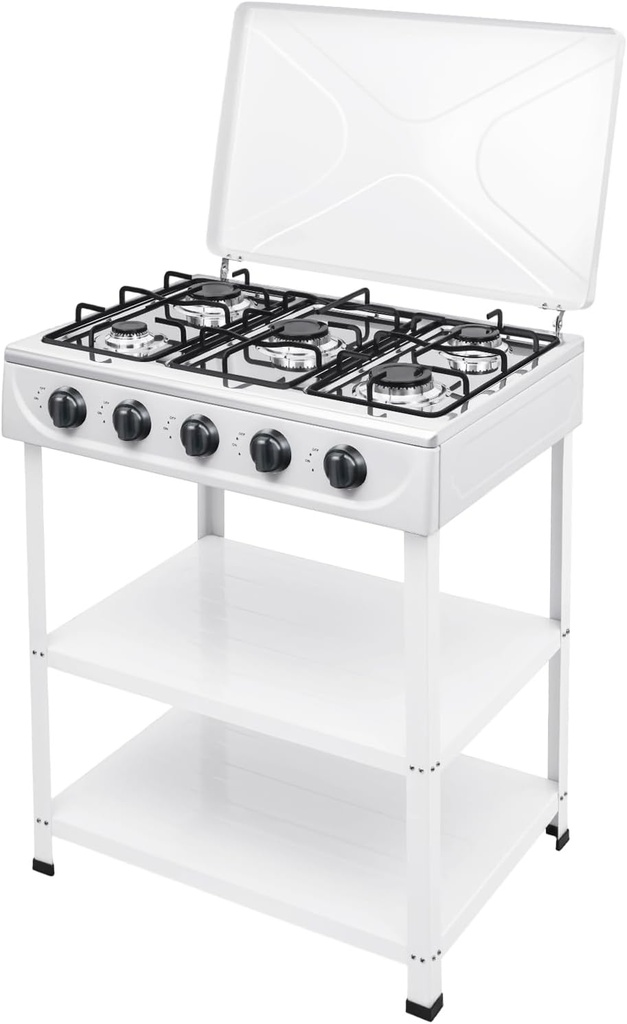 5 Burner Gas Stove,Portable Natural Gas Camping Grill Stove, Removable Bracket Cooktop,with Storage Stand and Wind Blocking Cover Manual Ignition for Outdoor RV (White)