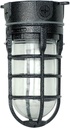 Woods L1706BLK Vandal Resistant 150W Incandescent Security Light, Ceiling Mount, Hammered Black