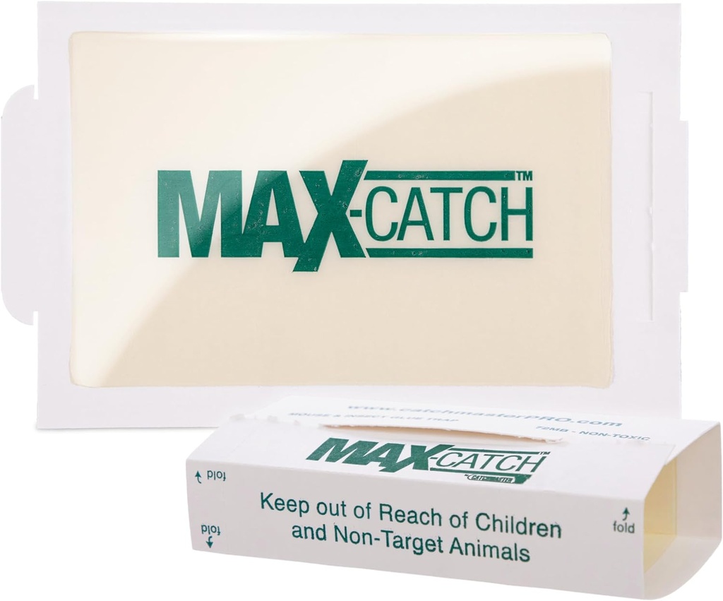 Catchmaster Max-Catch Mouse & Insect Glue Trap 72pk, Mouse Traps Indoor for Home, Sticky Pest Control Adhesive Tray for Catching Bugs, Bulk Classic Glue Boards