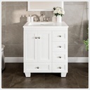 Eviva Acclaim 28 in. Bathroom Vanity with White Carrara Quartz Countertop, Undermount Porcelain Sink, Ideal for Home