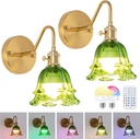 Battery Operated Wall Sconces, Set of Two RGB Color Dimmable Wall Sconce with Remote, Green Glass Lampshade Wall Decor Set of 2 for Living Room, Bedroom, Bedside, Bathroom